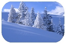 Seasons Travel
